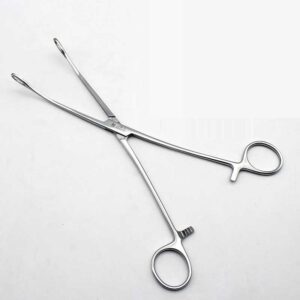 sponge forceps-1