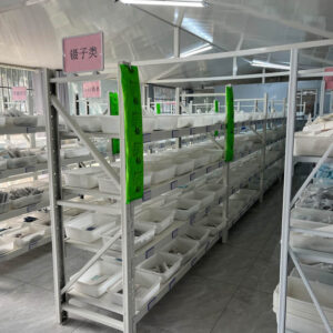 Our Warehouse-1